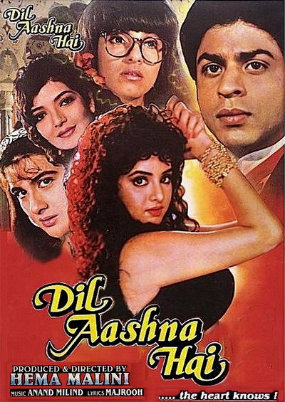 Póster de Dil Aashna Hai (...The Heart Knows)