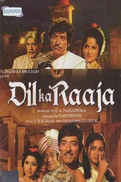 Póster de Dil Ka Raaja