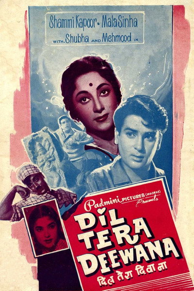 Póster de Dil Tera Diwana