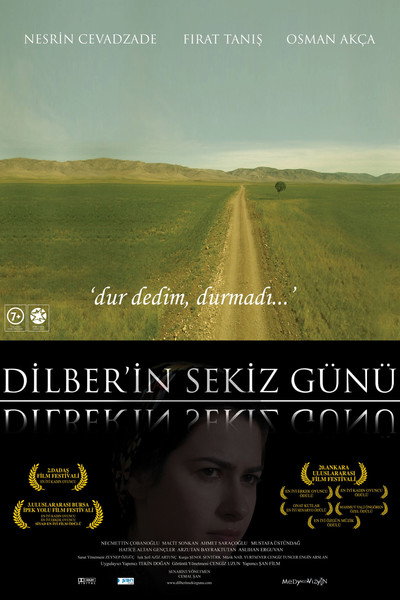 Póster de Dilber's Eight Days