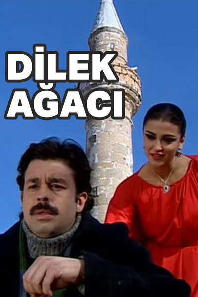 Póster de Dilek Agaci