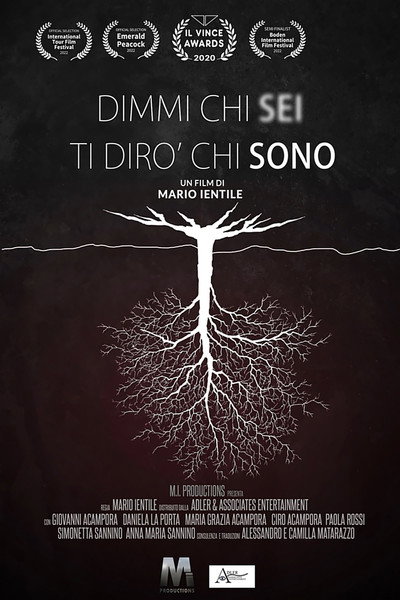 Póster de Dimmi chi sei ti dirò chi sono