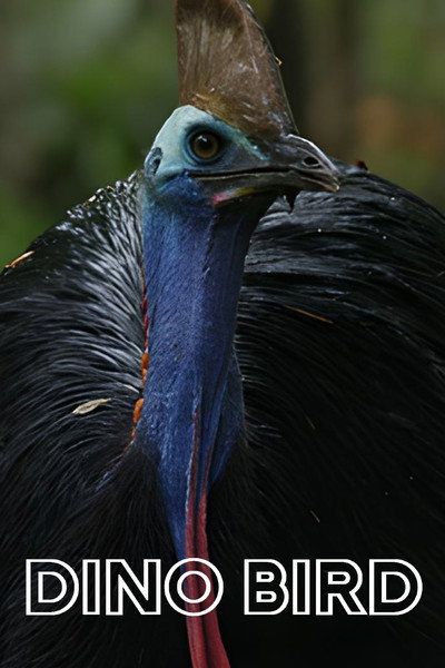 Póster de Dino Bird
