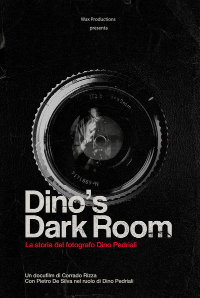 Póster de Dino's Dark Room