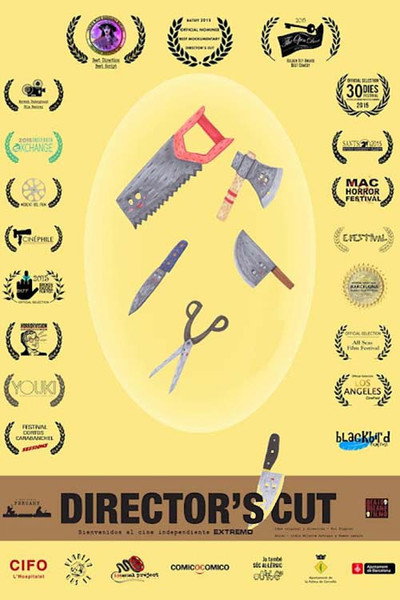 Póster de Director's Cut