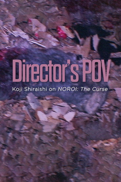 Póster de Director's POV