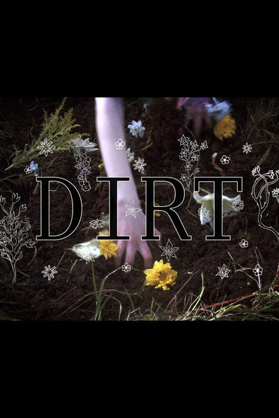 Póster de Dirt