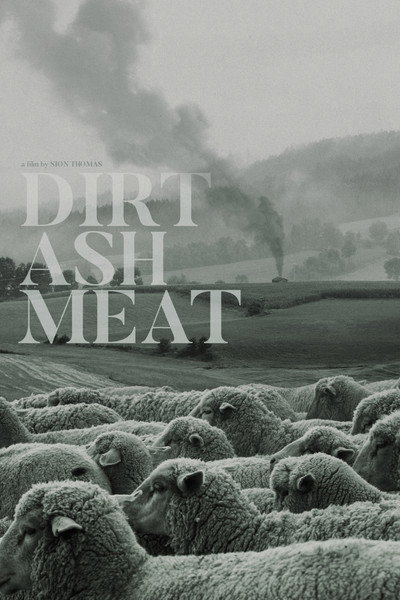 Póster de Dirt Ash Meat