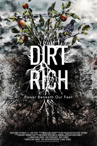 Póster de Dirt Rich
