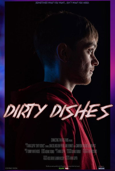 Póster de Dirty Dishes