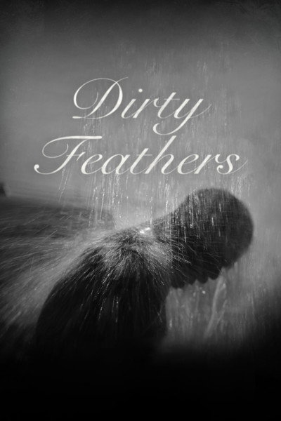Póster de Dirty Feathers
