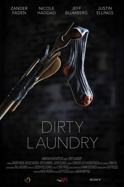 Póster de Dirty Laundry