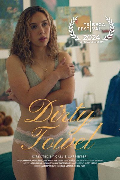Póster de Dirty Towel