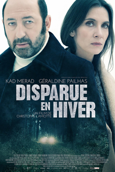 Póster de Disappeared in Winter