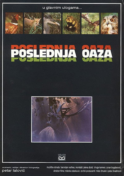 Póster de Disappearing Oasis, Last Oasis