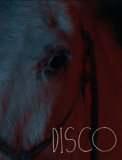 Póster de Disco