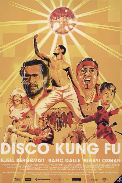 Póster de Disco Kung Fu