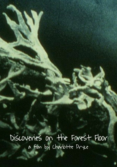 Póster de Discoveries on the Forest Floor 1-3