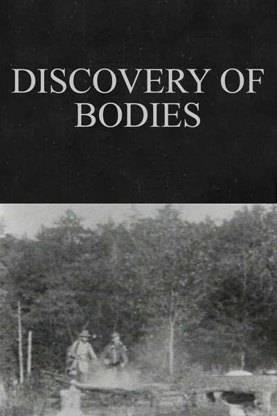 Póster de Discovery of Bodies