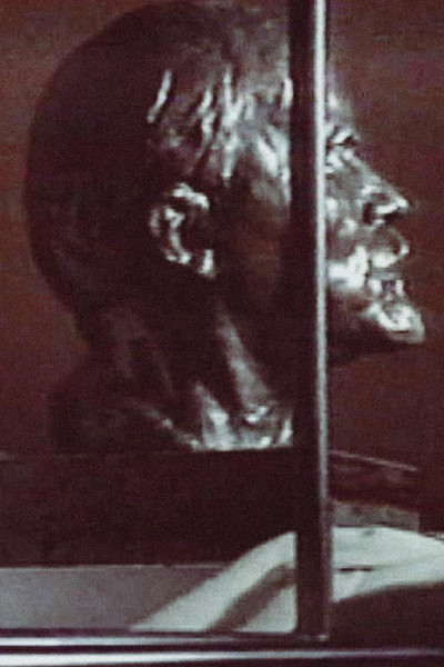 Póster de Disgraced Monuments