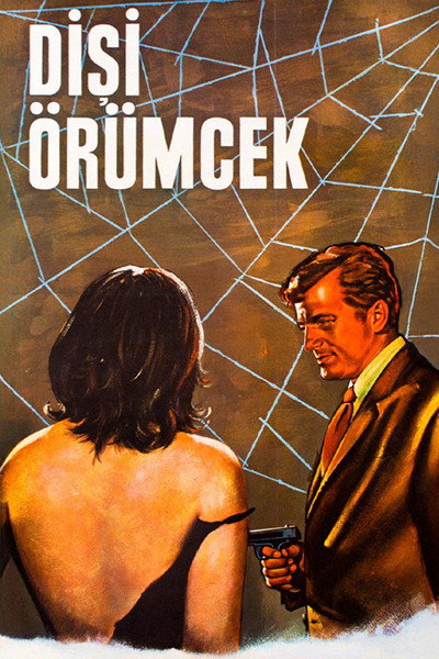 Póster de Disi örümcek