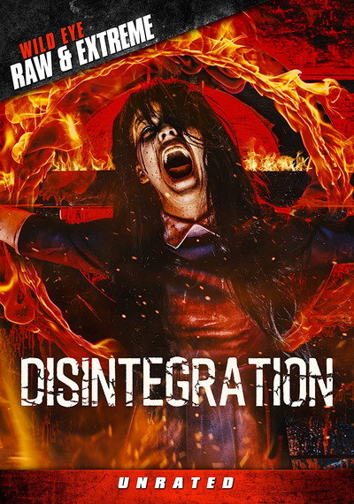 Póster de Disintegration