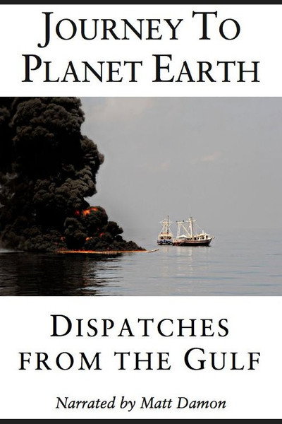 Póster de Dispatches from the Gulf