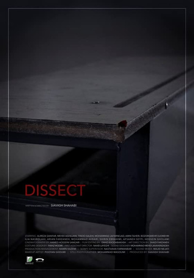 Póster de Dissect