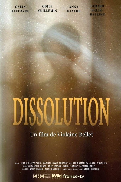 Póster de Dissolution