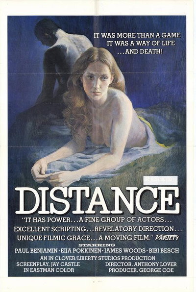 Póster de Distance
