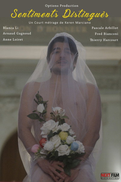 Póster de Distinguished Feelings