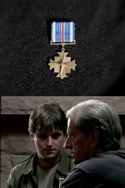 Póster de Distinguished Flying Cross