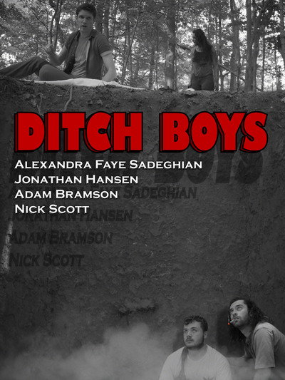 Póster de Ditch Boys