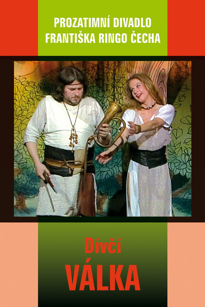 Póster de Divci válka