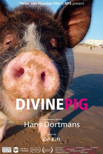 Póster de Divine Pig