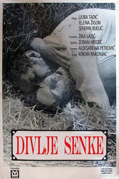 Póster de Divlje seme