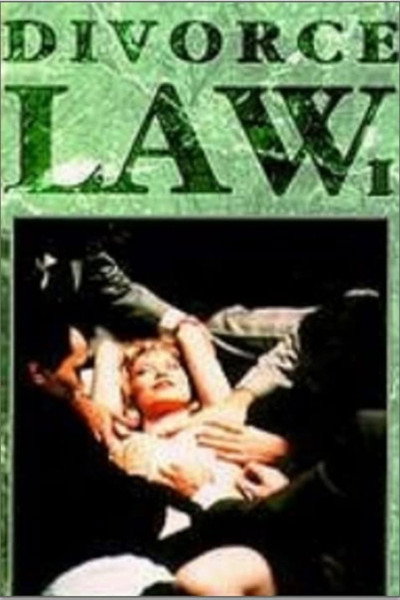 Póster de Divorce Law
