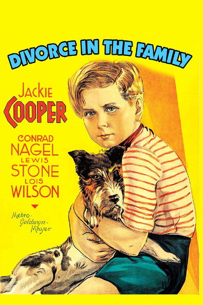 Póster de Divorcio en la familia