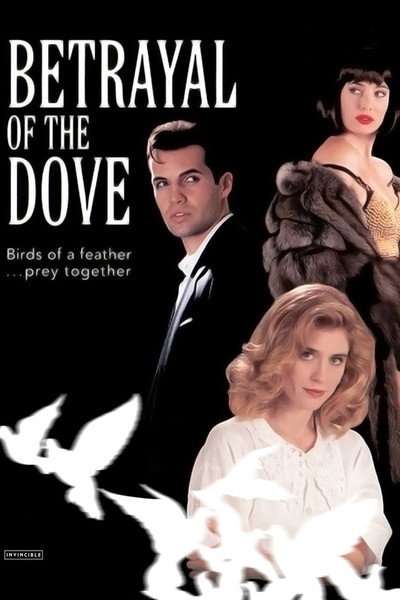 Póster de Divorcio mortal