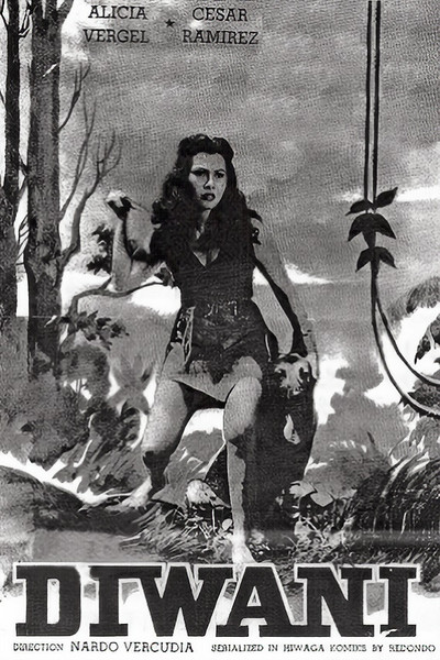 Póster de Diwani