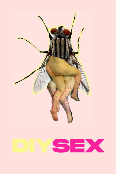 Póster de Diysex