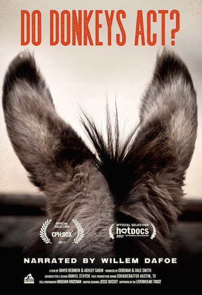 Póster de Do Donkeys Act?