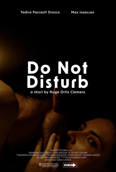 Póster de Do Not Disturb