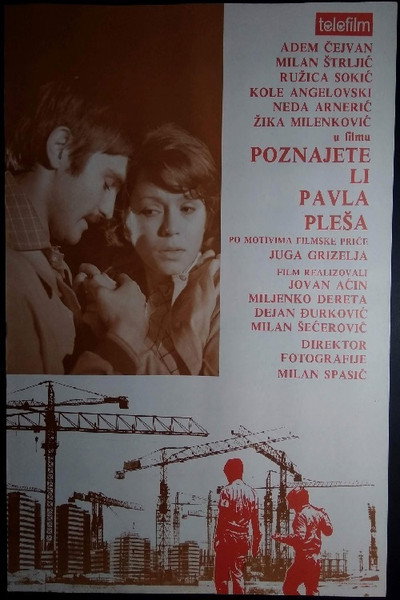 Póster de Do You Know Pavla Plesa?