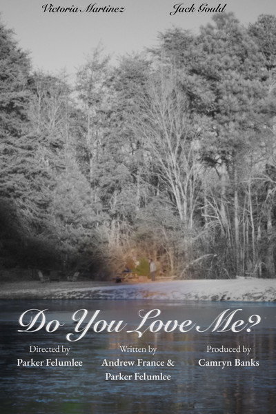 Póster de Do You Love Me?