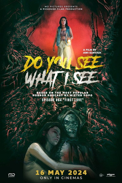 Póster de Do You See What I See