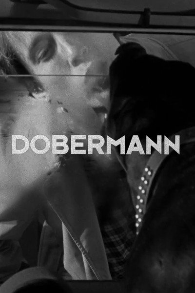 Póster de Dobermann