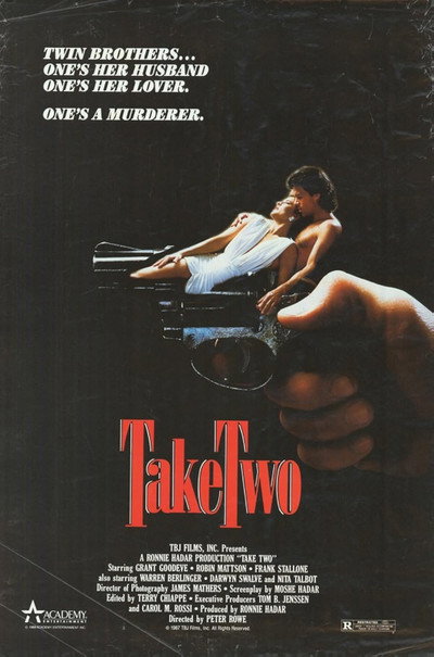 Póster de Doble deseo fatal