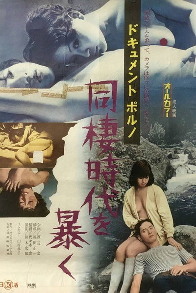 Póster de Document porno: Dôsei jidai o abaku