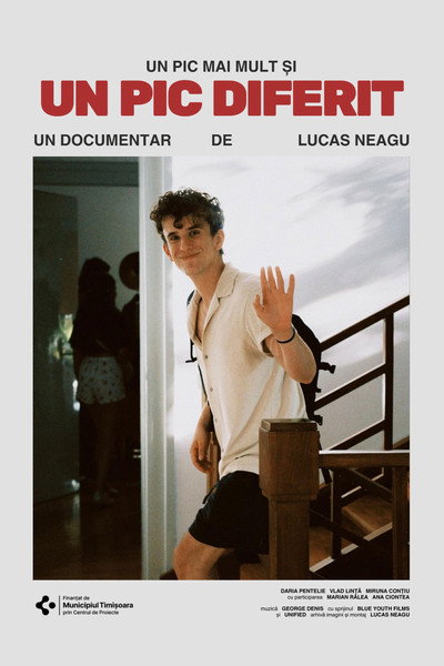 Póster de Documentar: Un pic mai mult si un pic diferit